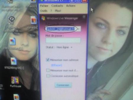 l'adresse msn