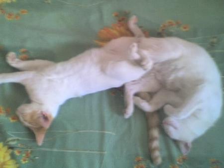 leli & mimi